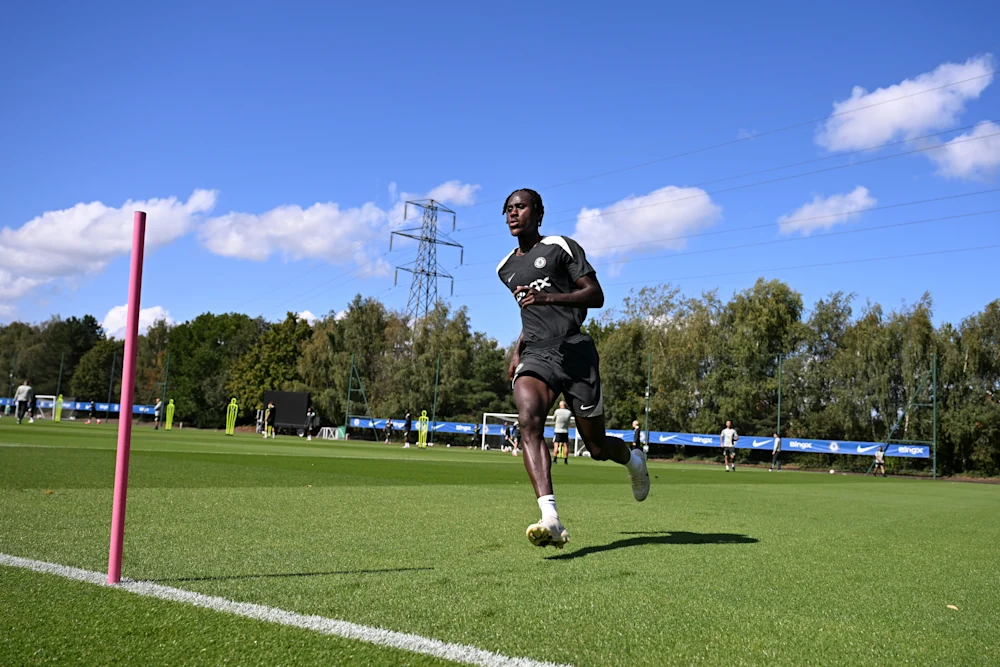 巴迪亚西勒, tenan 巴迪亚西勒, tenan