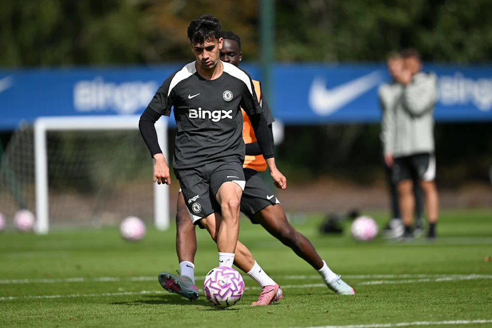 训练情况, 训练情况 训练情况, 训练情况