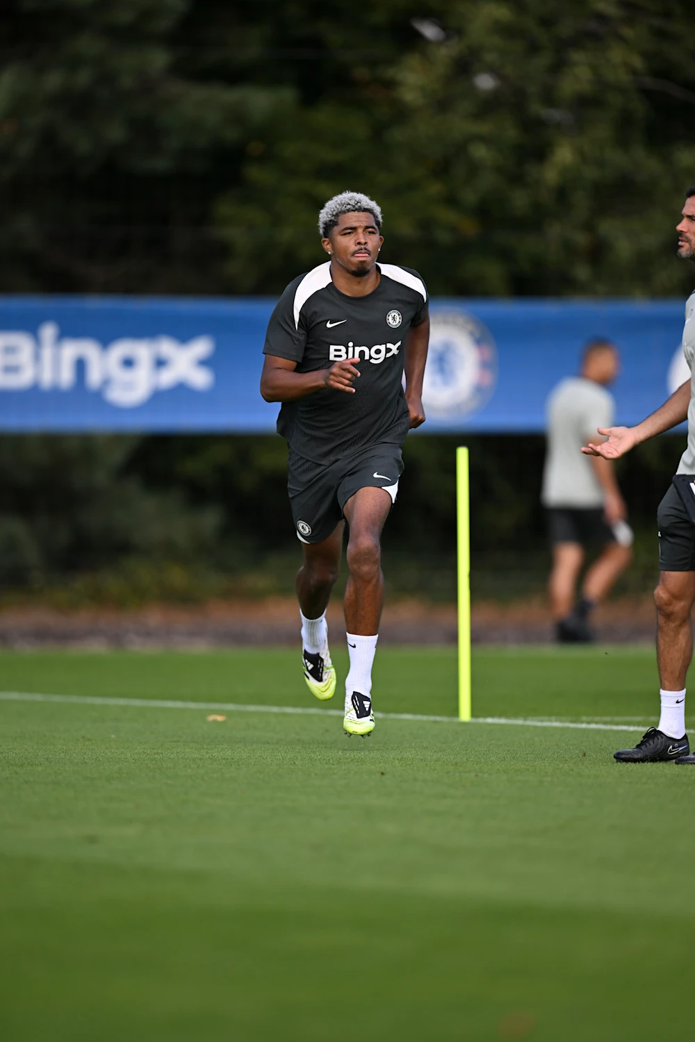 msn, 阿达比奥约, 巴迪亚西勒 msn, 阿达比奥约, 巴迪亚西勒