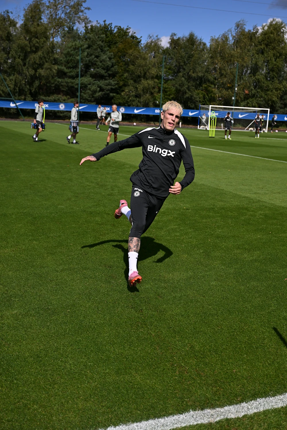 msn, amp, 拉维亚 msn, amp, 拉维亚